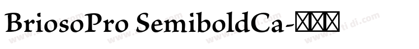 BriosoPro SemiboldCa字体转换